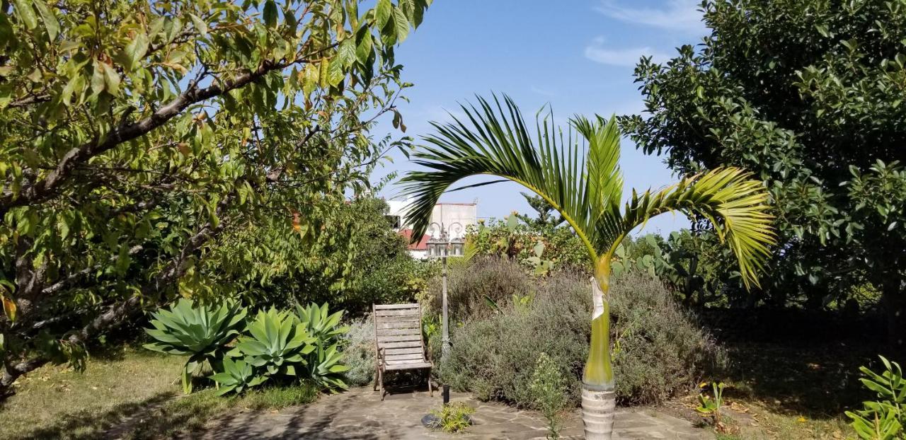 La Casita De La Vega Appartement Icod De Los Vinos Buitenkant foto