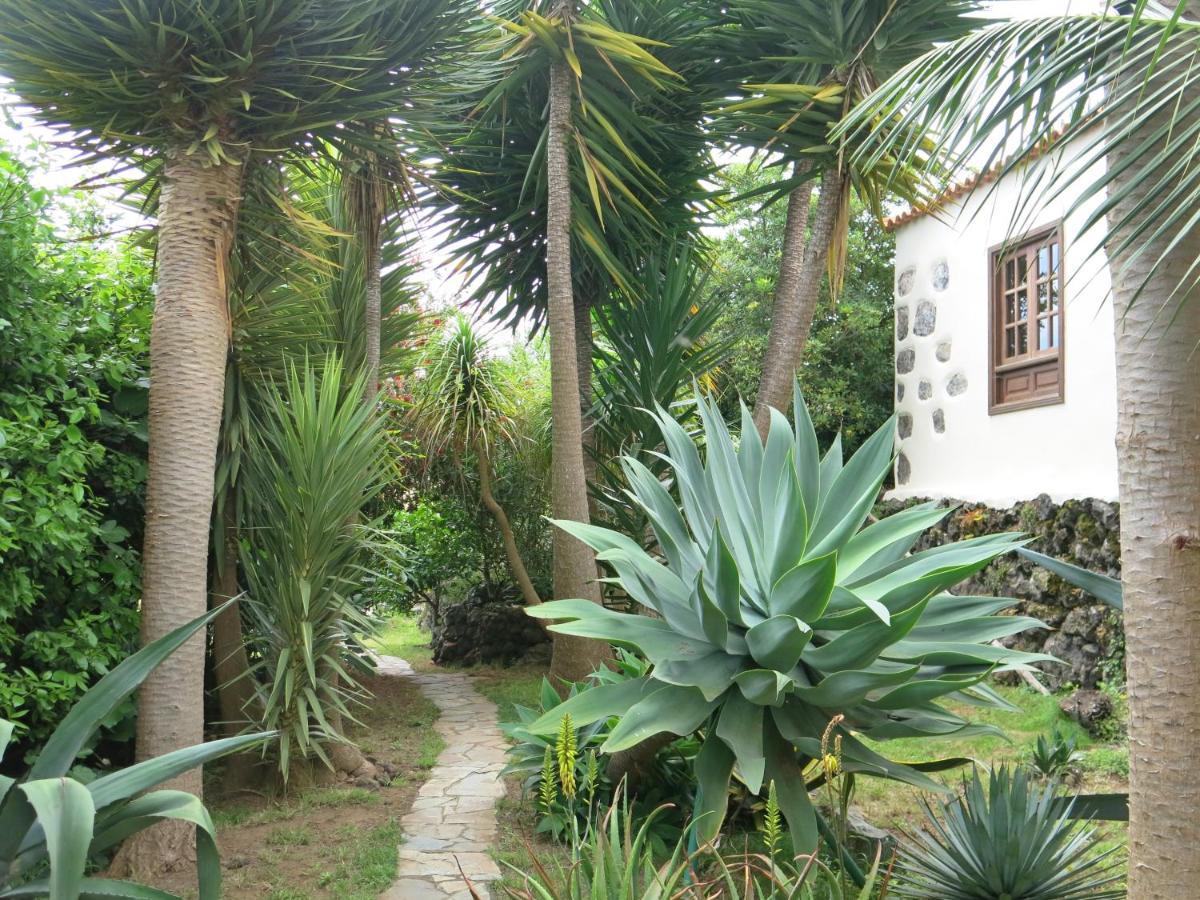 La Casita De La Vega Appartement Icod De Los Vinos Buitenkant foto