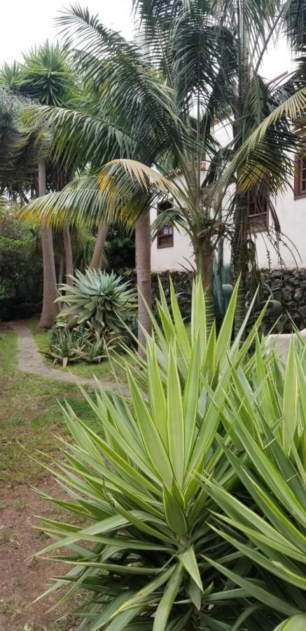 La Casita De La Vega Appartement Icod De Los Vinos Buitenkant foto