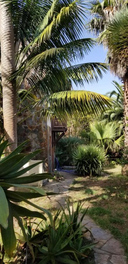 La Casita De La Vega Appartement Icod De Los Vinos Buitenkant foto