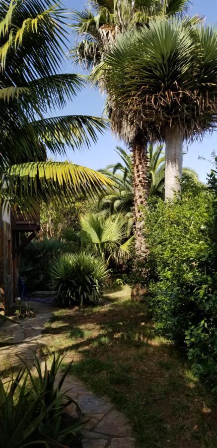 La Casita De La Vega Appartement Icod De Los Vinos Buitenkant foto