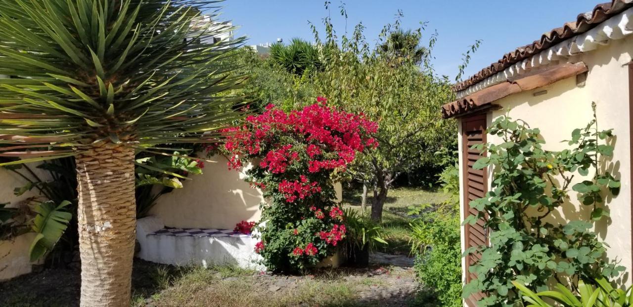 La Casita De La Vega Appartement Icod De Los Vinos Buitenkant foto